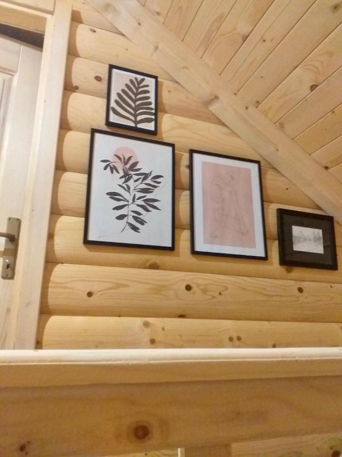 Vila Rustic House Kolašin Exteriér fotografie