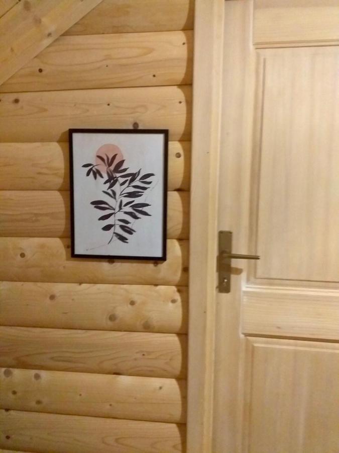 Vila Rustic House Kolašin Exteriér fotografie