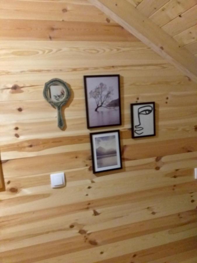 Vila Rustic House Kolašin Exteriér fotografie